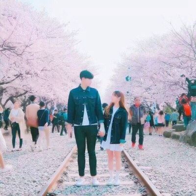天天萌宠九游版下载